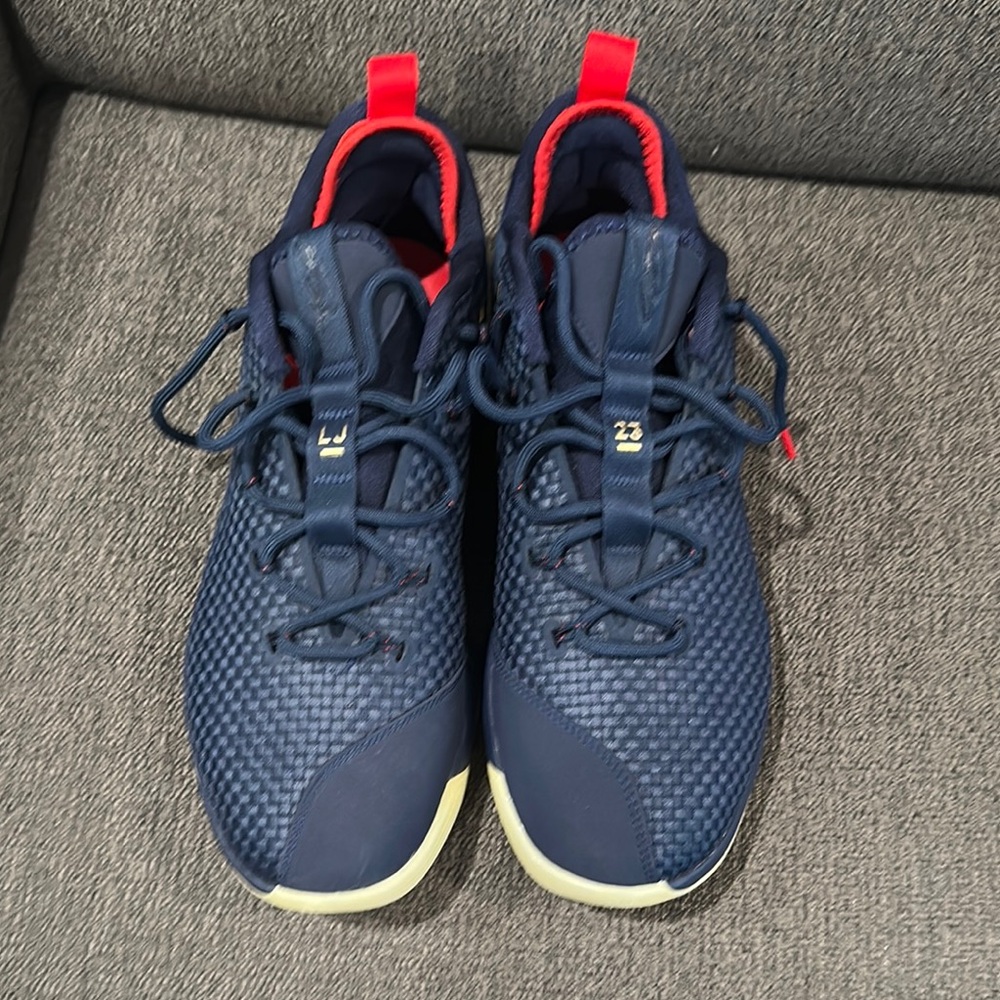 Nike Blue and Red Athletic Shoes
